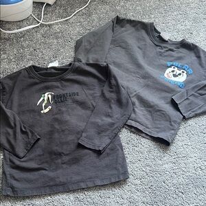 Zara Kids Long Sleeve Tees - Charcoal with Sporty and Polar Bear Graphics